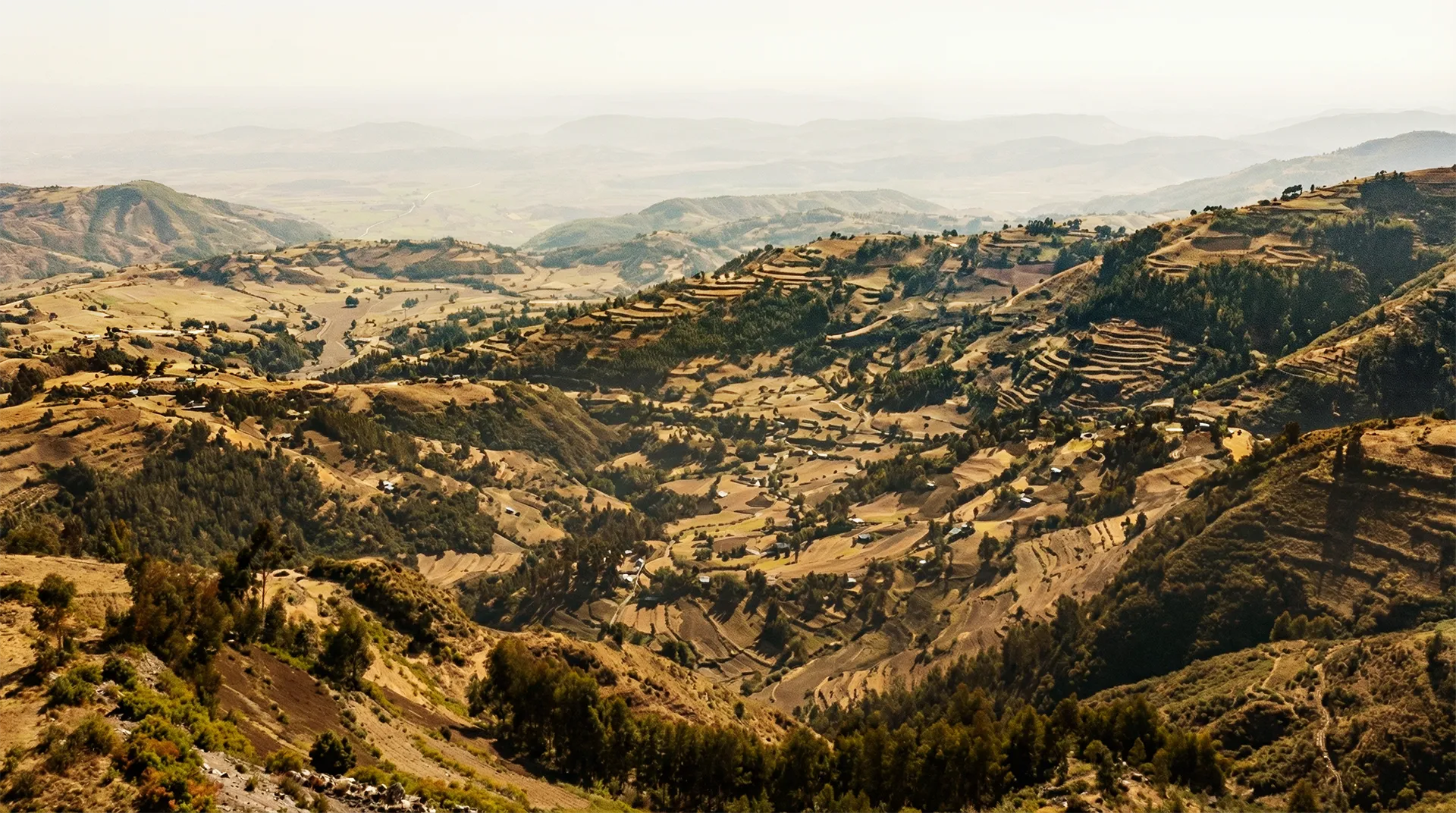 Muri in terra rinforzata Epheson-Ataye-Mehal Meda